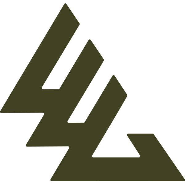 4cg logomark green Thumbnail