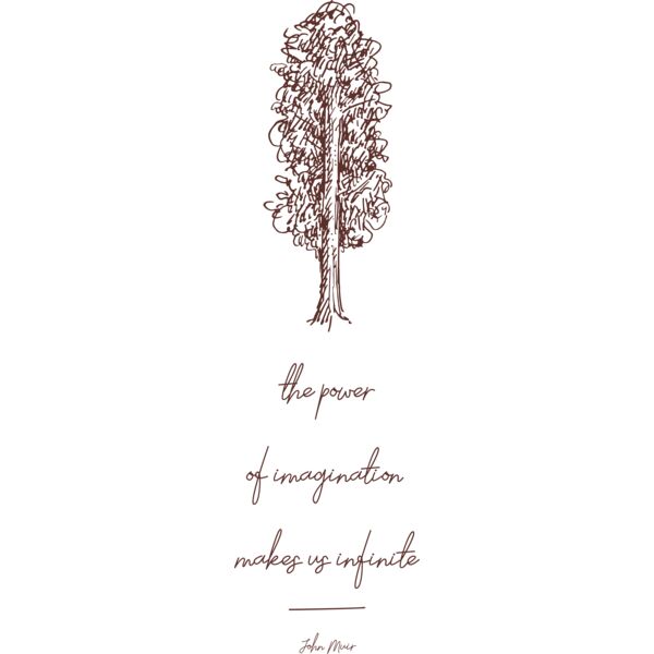 John Muir Design Thumbnail